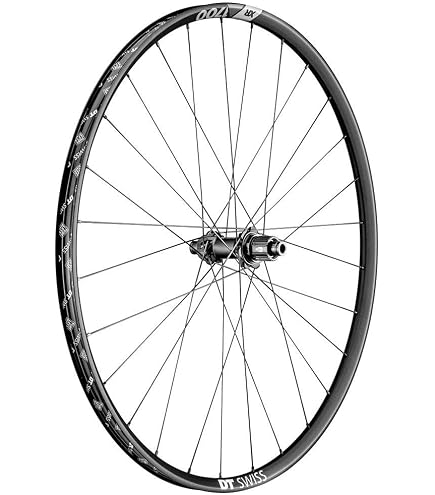Amazon.com: DT Swiss Wheel RR 29 622X30 XM1700 Spline 30